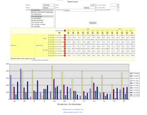 Raport flota km parcursi si ora de functionare