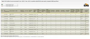 Raport stil conducere