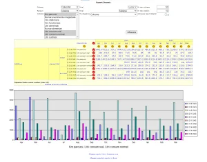 raport analiza consum